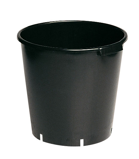 עציץ פלורנטין