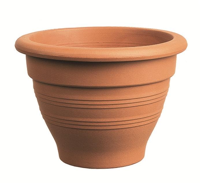 עציץ חרס קמפנה